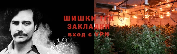 гашик Заволжье