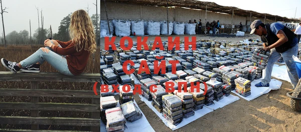 соль курить ск Сосновка
