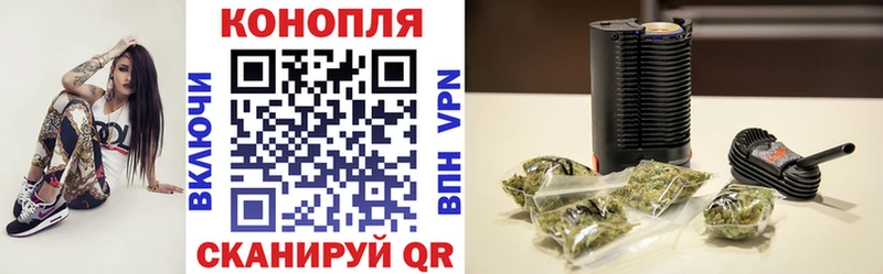 где купить   Струнино  Канабис Amnesia 